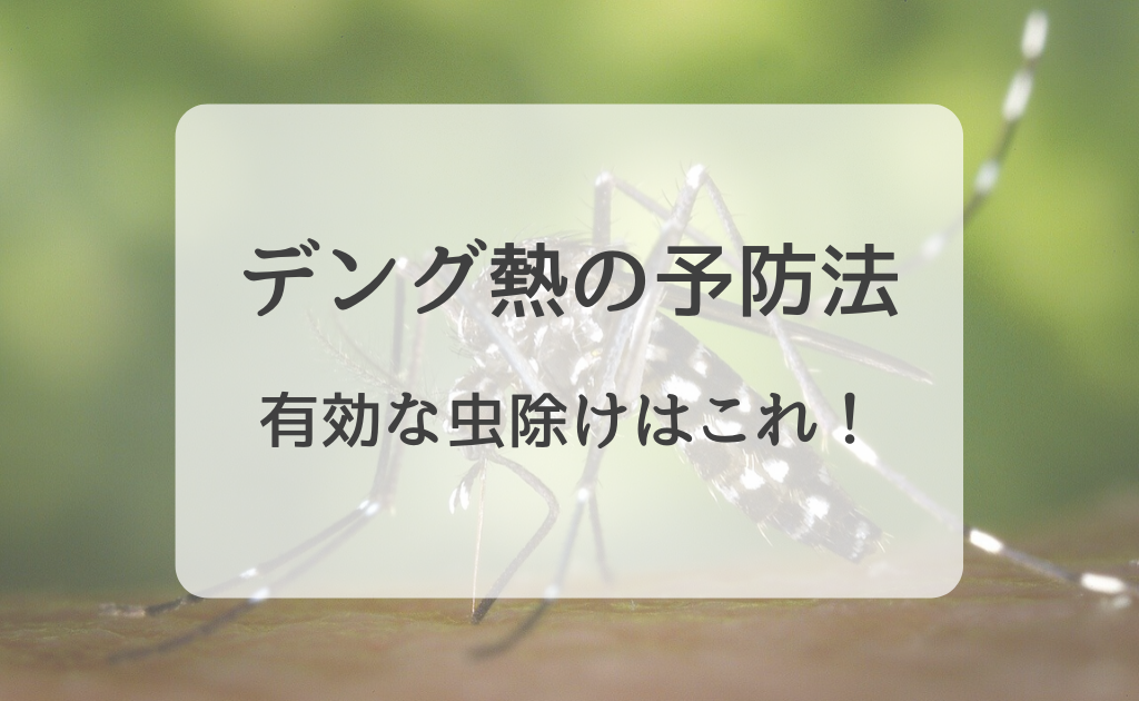 デング熱に気を付けよう 予防策とシンガポールで買える虫除け セイナメモ