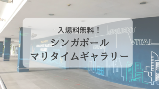 シンガポールで買える洗濯用エコ洗剤3選 セイナメモ